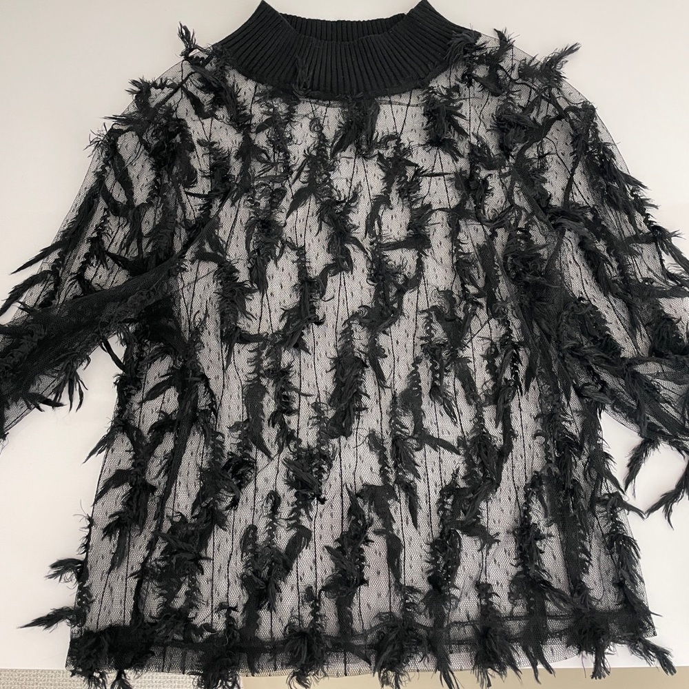 Zara Mesh Long Sleeve Top
